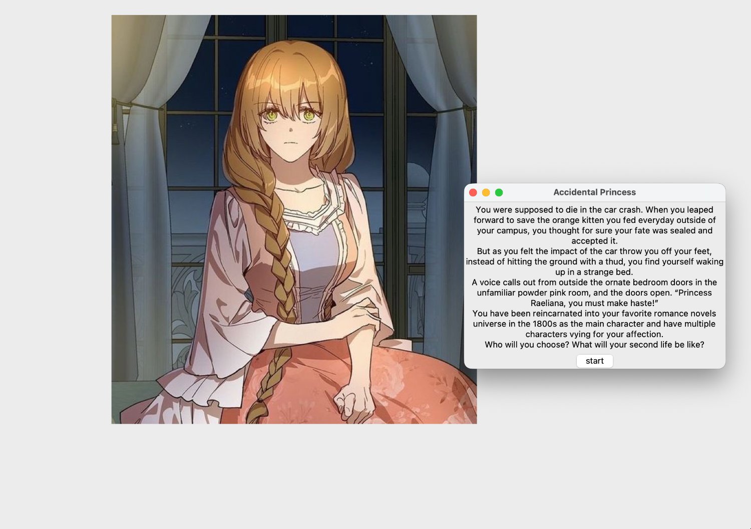 opening screen — the accidental countess